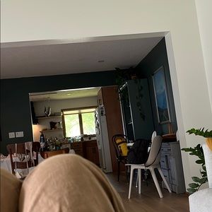 Meet your Posher, Carolina